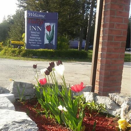 Tulip Inn Huntsville Exterior foto