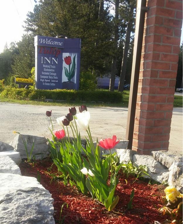 Tulip Inn Huntsville Exterior foto