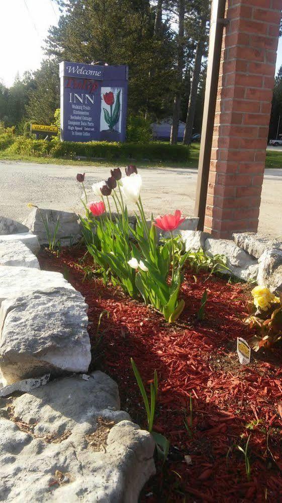 Tulip Inn Huntsville Exterior foto